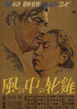 风中的母鸡(蓝光)