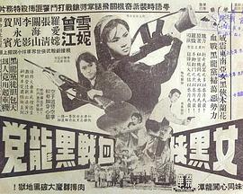 女黑侠血战黑龙党(蓝光)