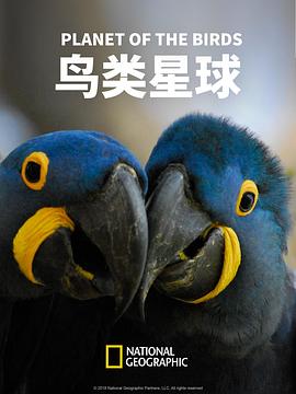 鸟类星球(蓝光)