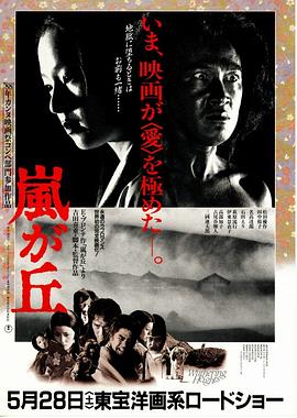 呼啸山庄(蓝光)