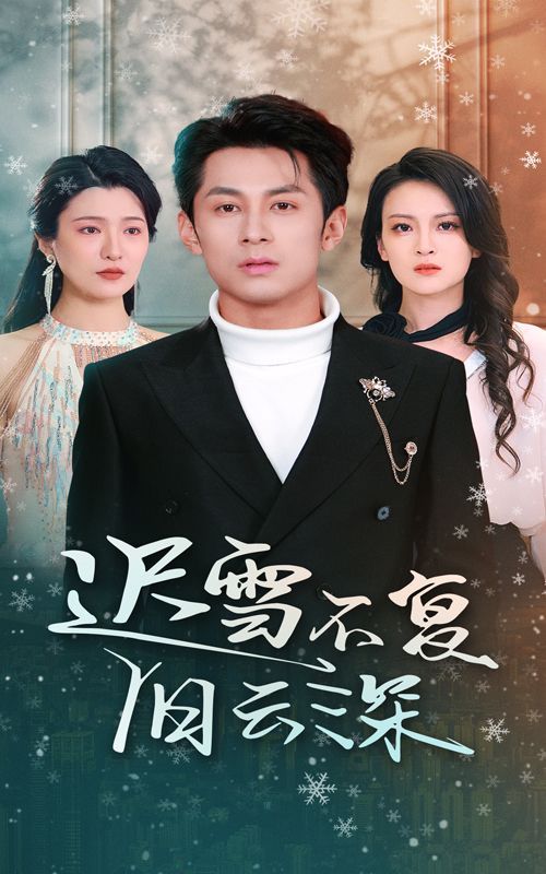 迟雪不复旧云深当年明月负尽深雪(1080)