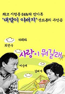爱情是什么国语（1080）