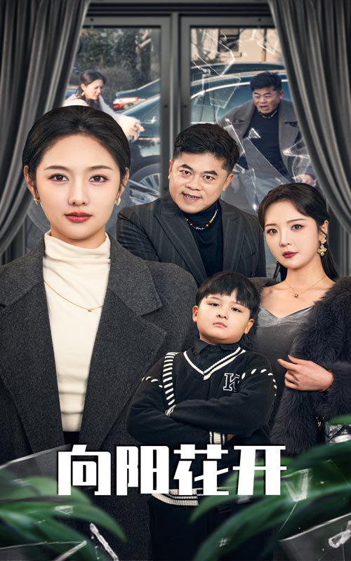 向阳花开溺爱的代价(蓝光)