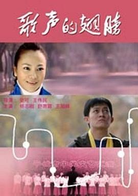 歌声的翅膀(1080)