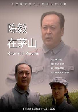 陈毅在茅山(蓝光)