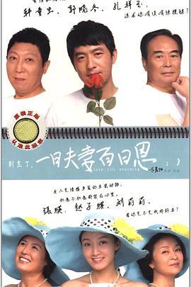 一日夫妻百日恩(蓝光)