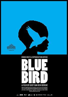 青鸟bluebird(1080)