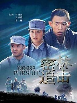 密林追击(1080)