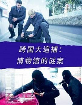 跨国大追捕博物馆的谜案(1080)