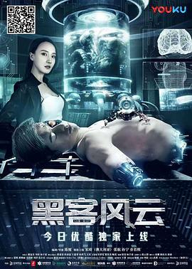 黑客风云(1080)