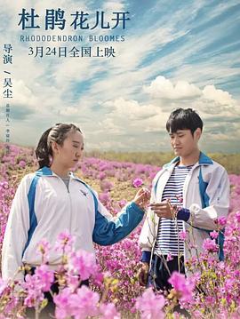 杜鹃花儿开(蓝光)