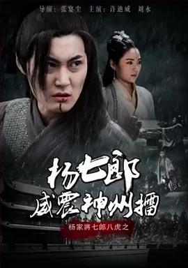 杨七郎威震神州擂(蓝光)