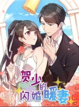 贺少的闪婚暖妻第一季动态漫画(蓝光)