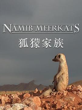 狐獴家族(蓝光)