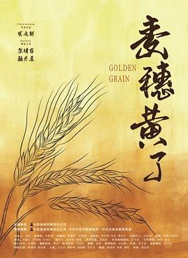 麦穗黄了(1080)