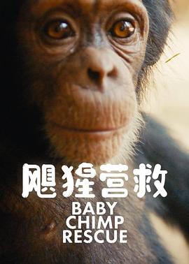 飓猩营救(蓝光)