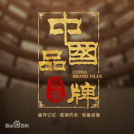 中国品牌档案(1080)