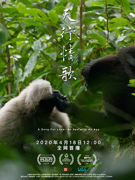 天行情歌(蓝光)
