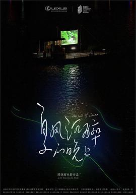夏风沉醉的晚上(蓝光)