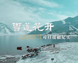 雪莲花开对口援疆纪实(4K)