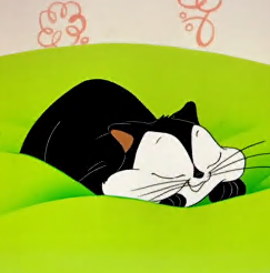 猫科动物陷害(蓝光)