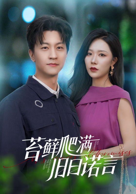 情途难负(蓝光)