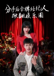 手后金牌经纪人掀翻娱乐圈(蓝光)