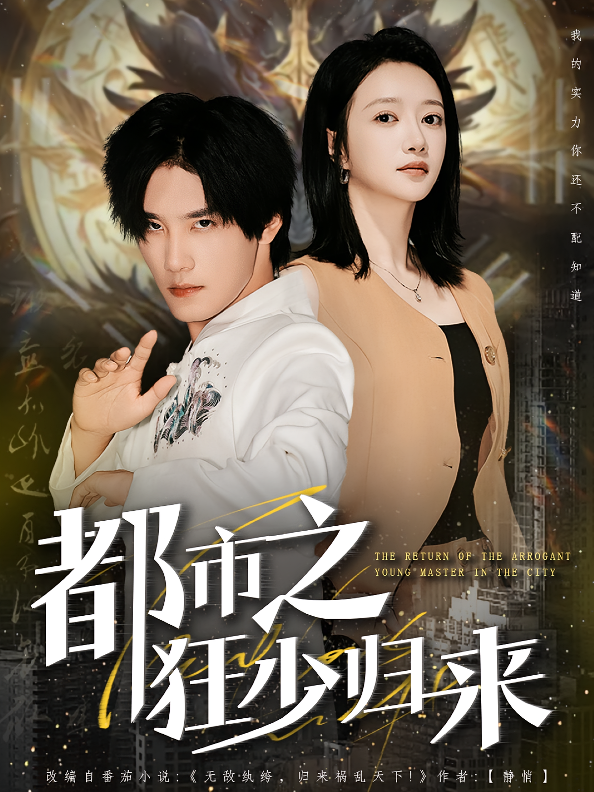 市之狂少归来(蓝光)