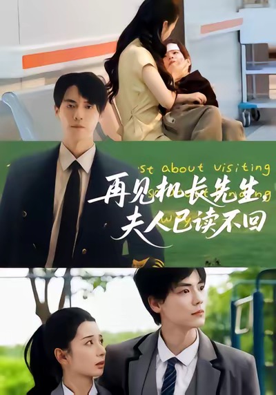 见机长先生夫人已读不回(1080)