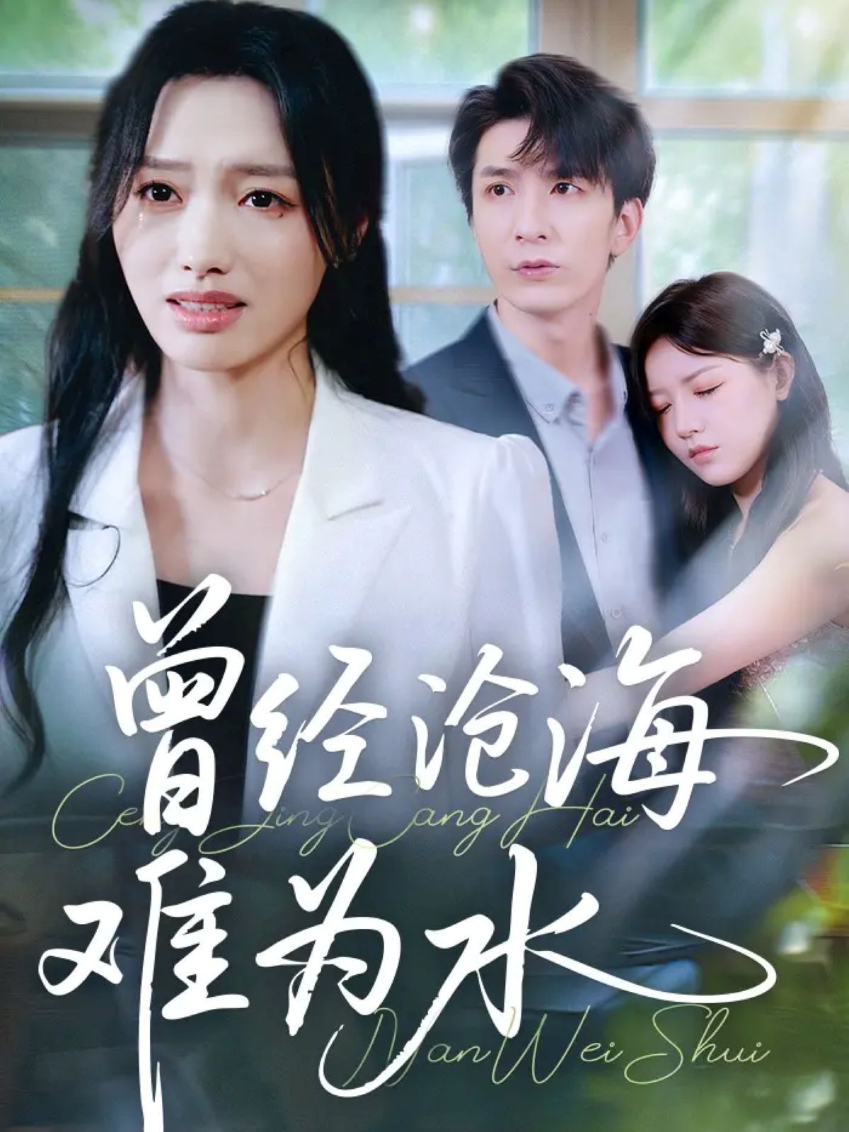 新曾经沧海难为水(蓝光)