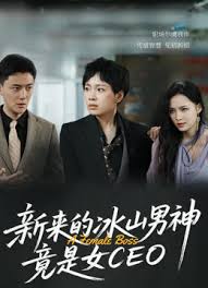 新来的冰山男神竟是女ceo(1080)