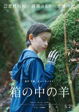盒子里的羊(蓝光)