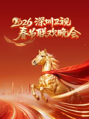 深圳卫视春节联欢晚会（蓝光）