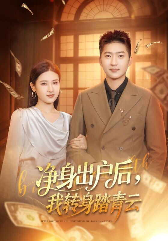 净身出户后我转身踏青云（蓝光）