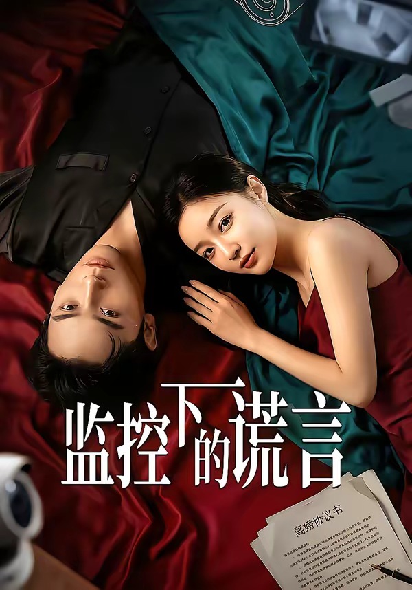 监控下的谎言(4K)