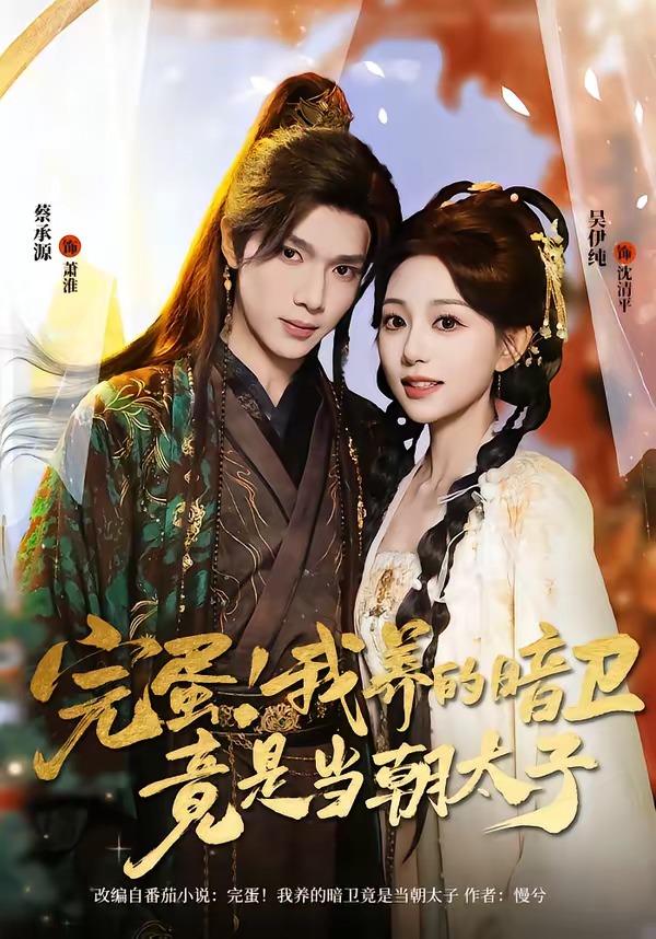 完蛋我养的暗卫竟是当朝太子(蓝光)
