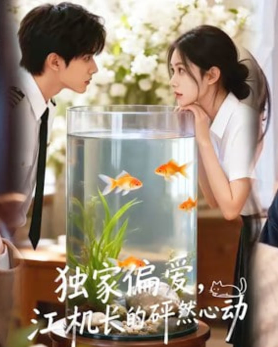 独家偏爱江机长的砰然心动(蓝光)