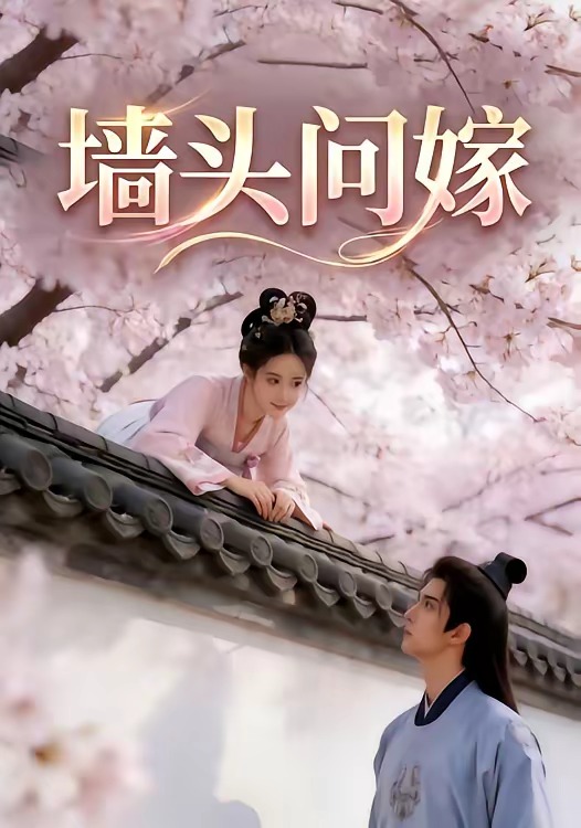 墙头问嫁（蓝光）