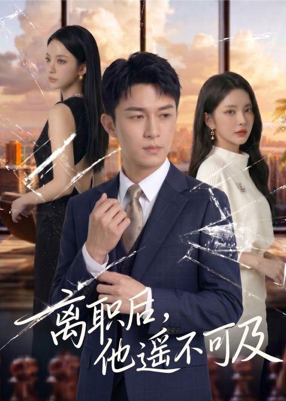离职后他遥不可及(蓝光)