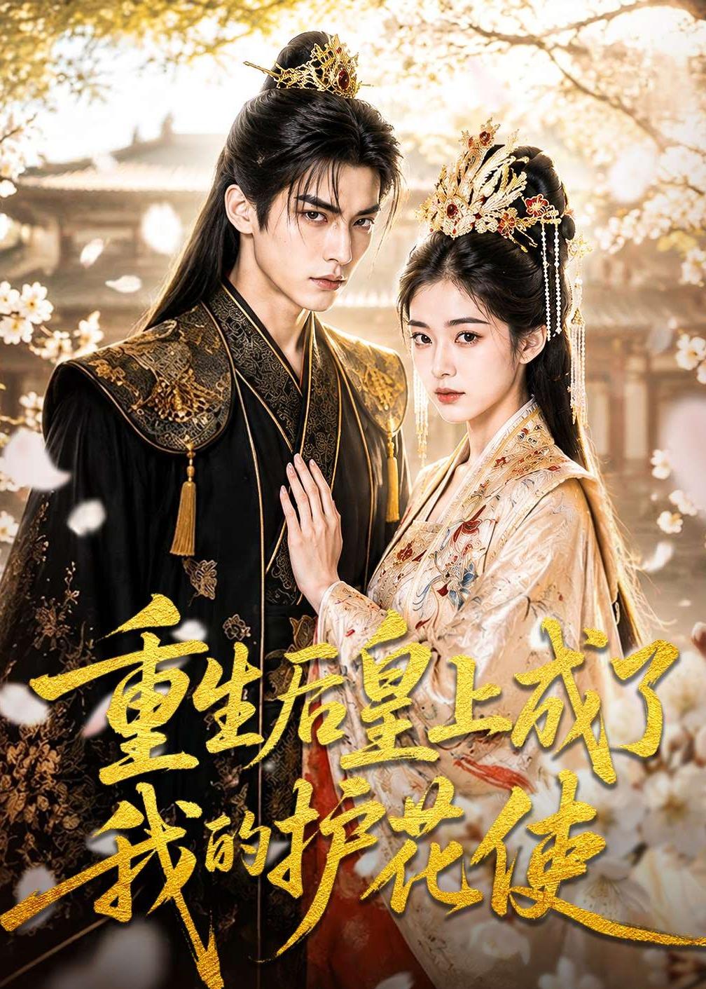 重生后皇上成了我的护花使(蓝光)