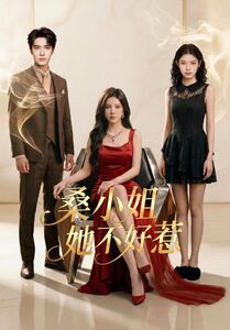 桑小姐她不好惹(1080)