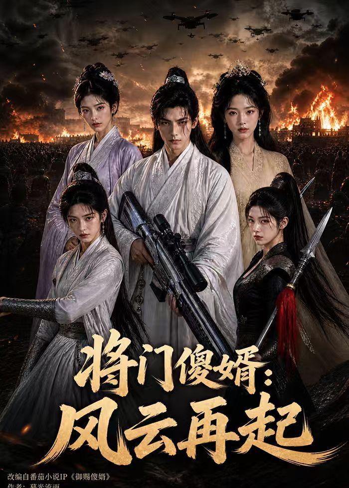将门傻婿风云再起（蓝光）