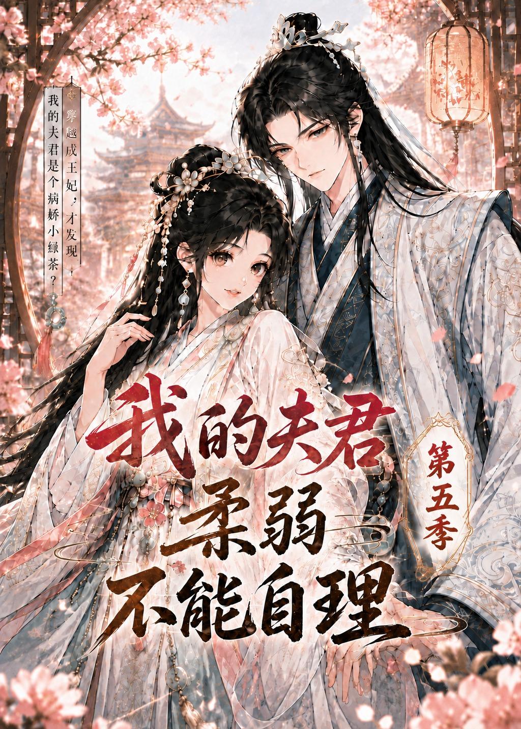 我的夫君柔弱不能自理第五季（蓝光）
