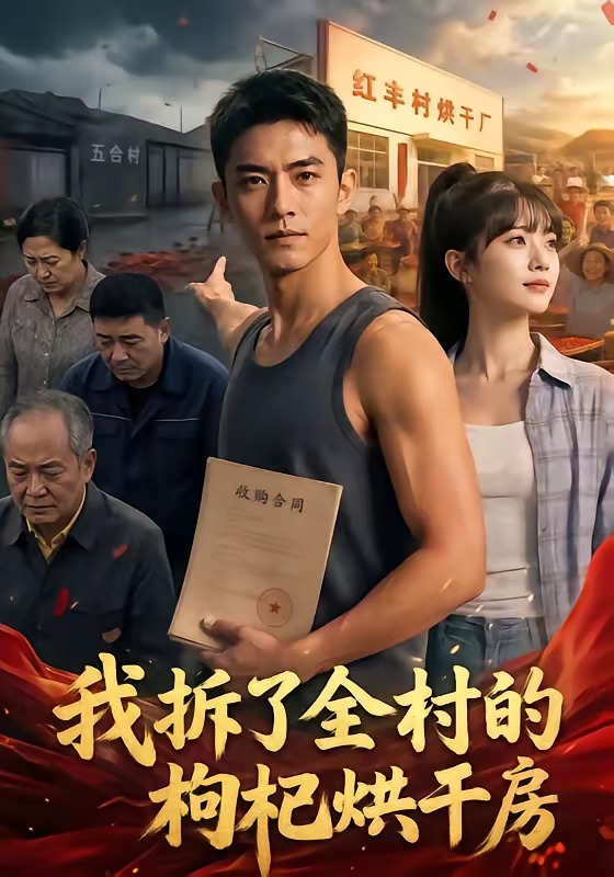 我拆了全村的枸杞烘干房（1080）