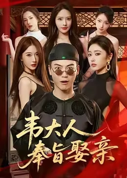 韦大人奉旨娶亲(蓝光)