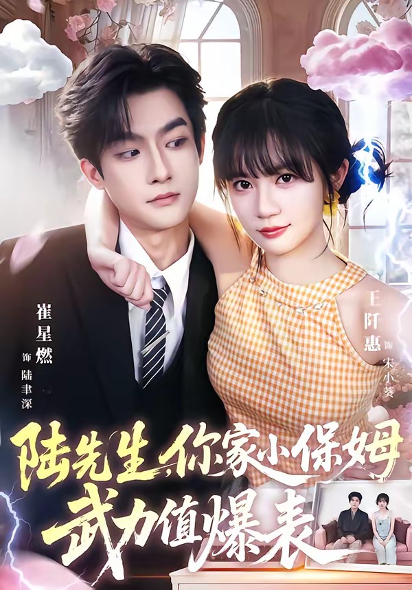 陆先生你家小保姆武力值爆表(蓝光)