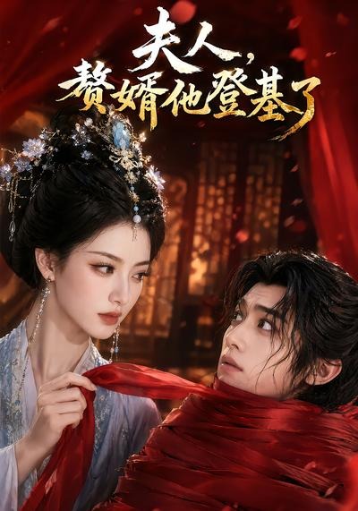 夫人赘婿他登基了(蓝光)