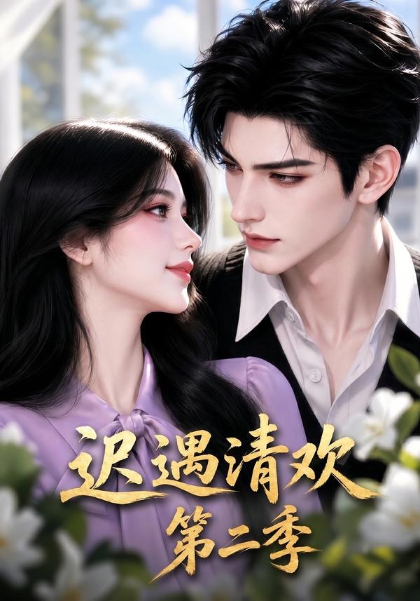 迟遇清欢第二季（蓝光）