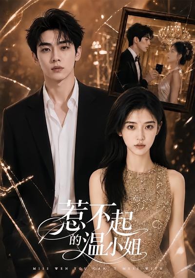惹不起的温小姐(蓝光)