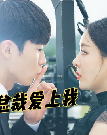 爱上霸道女总裁(蓝光)